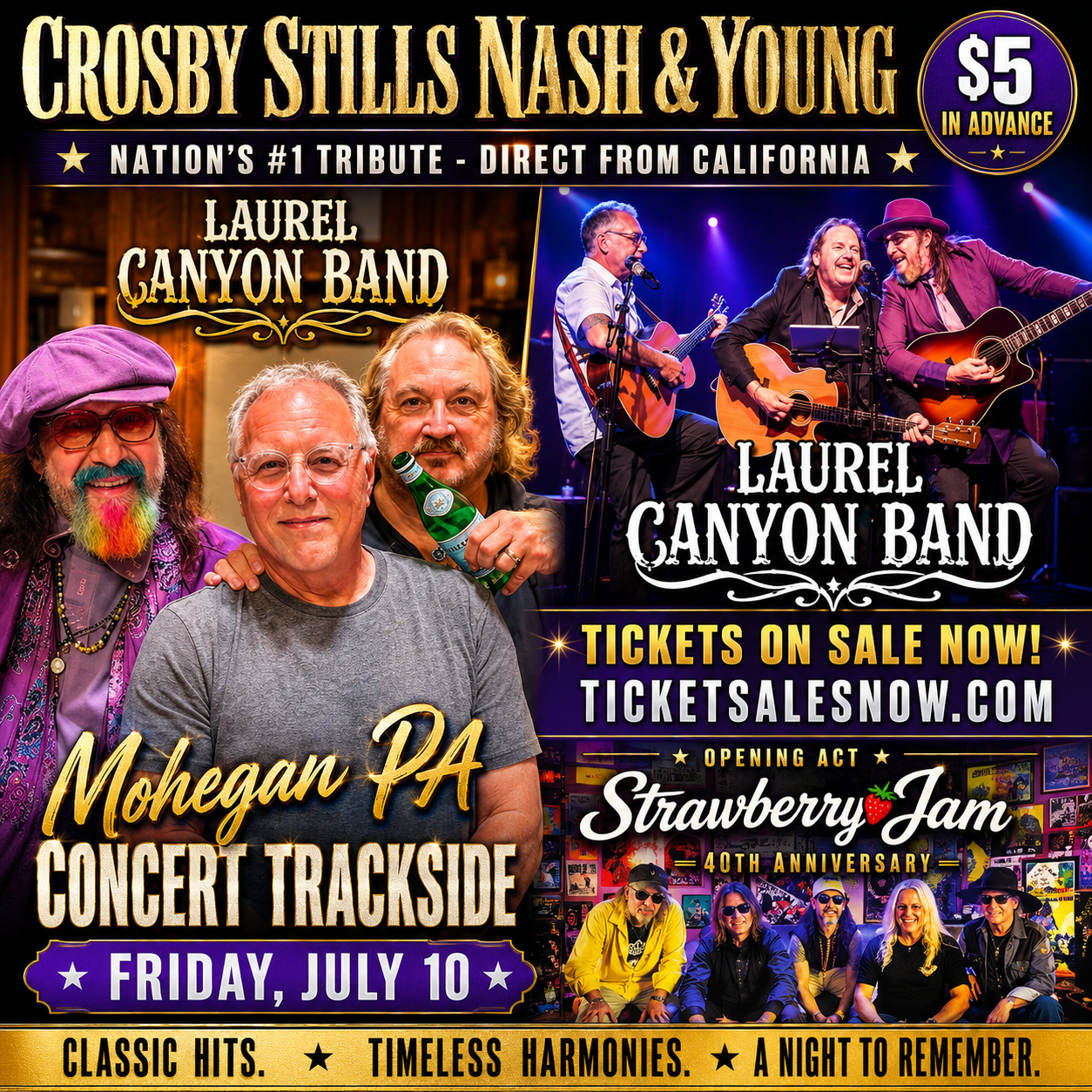 July 10 - Crosby, Stills, Nash & Young Tribute Night